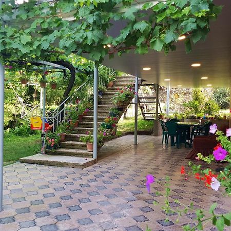 Valiko House In Telavi Hotel Екстериор снимка