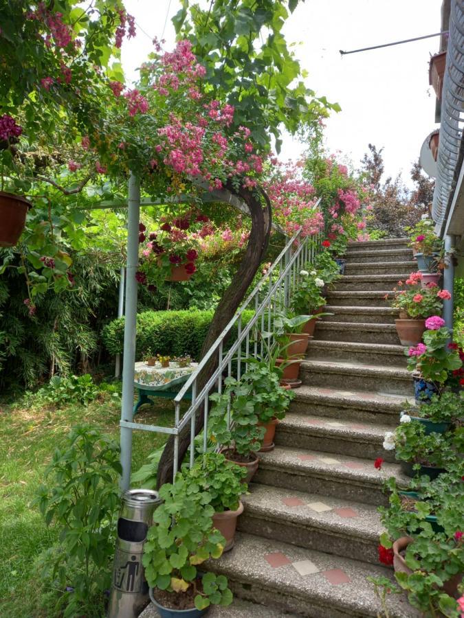 Valiko House In Telavi Hotel Екстериор снимка