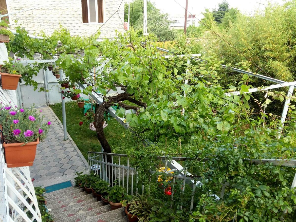 Valiko House In Telavi Hotel Екстериор снимка
